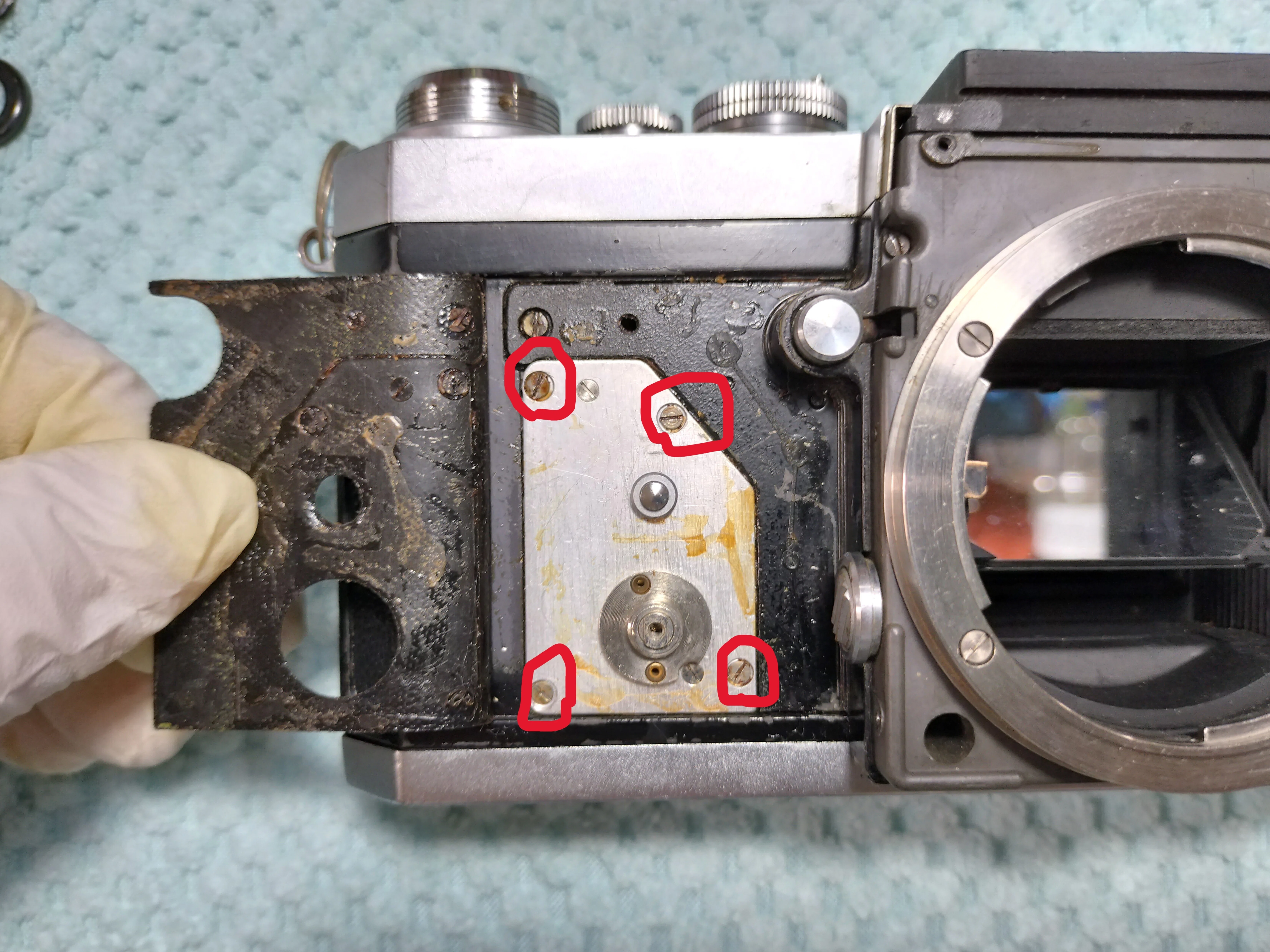 Nikon Fの分解｜フィルムカメラ修理のアクアカメラ