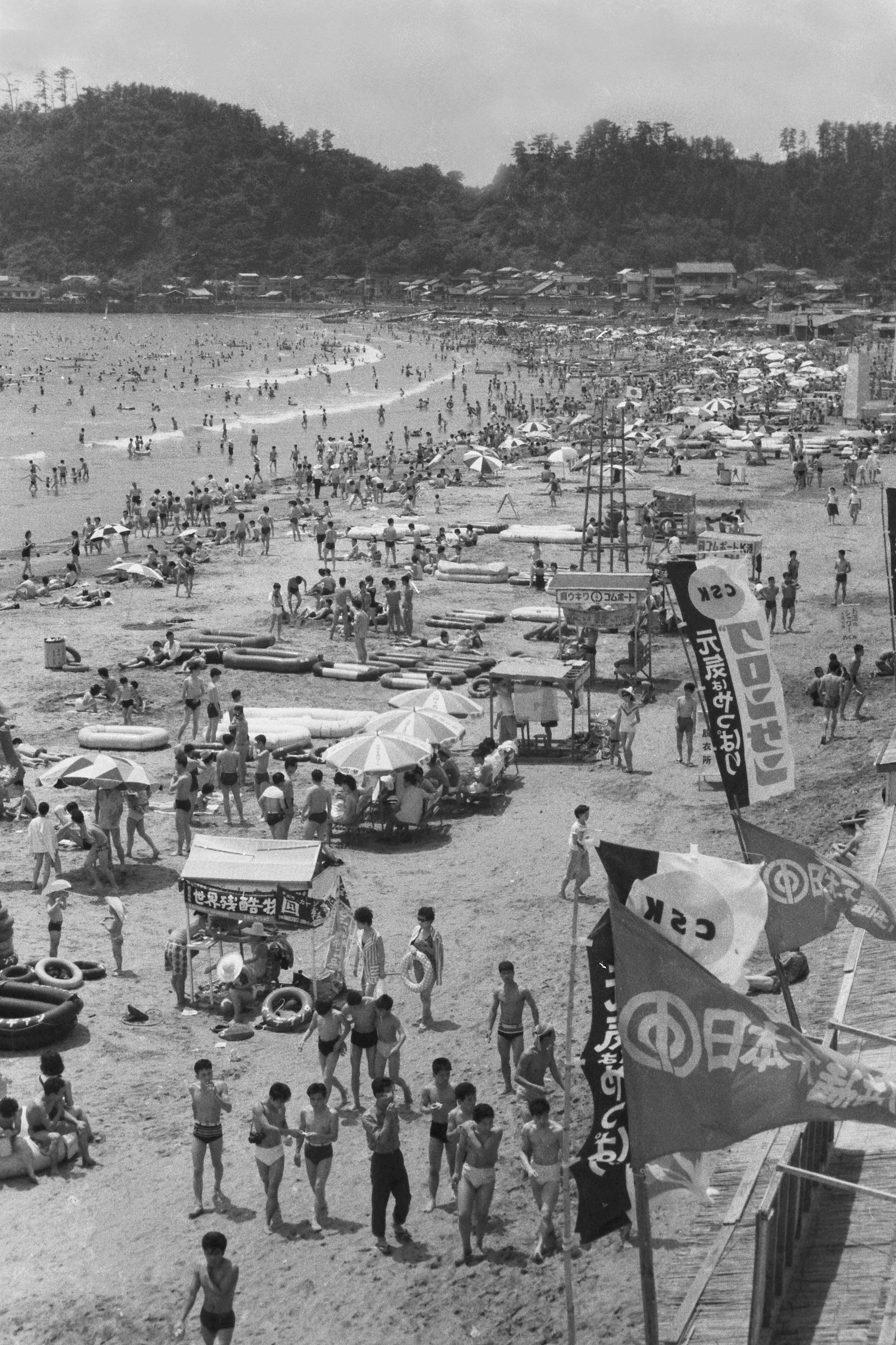 Amazon.co.jp: ふるさと鎌倉: 鎌倉市制施行70周年記念写真集