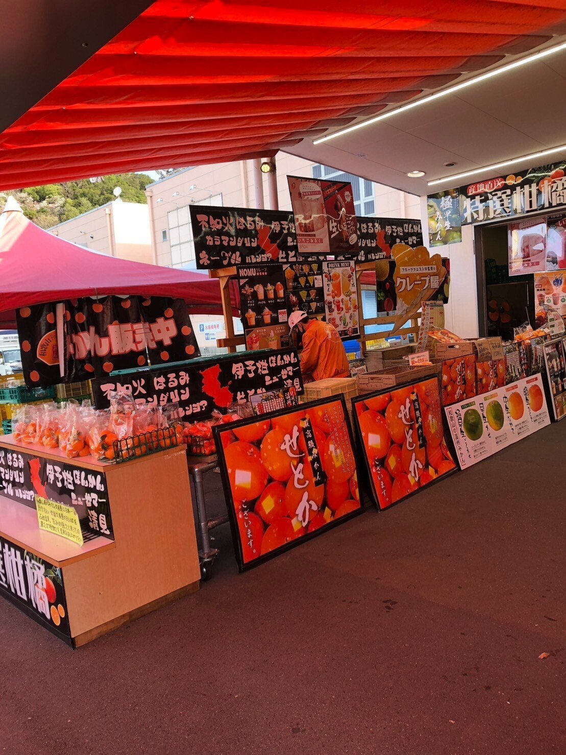 フルーツマイスターみかん屋さま確認用 フルーツマイスターみかん屋さま確認用 みかん販売 フルーツマイスター