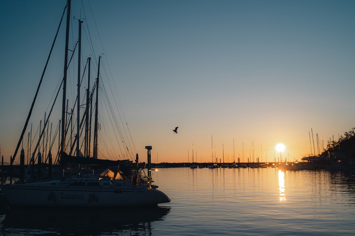 APOLLON 36mm f1.3 シルバー MS-OPTICS MS-optics (@MS_OPTICS) / X