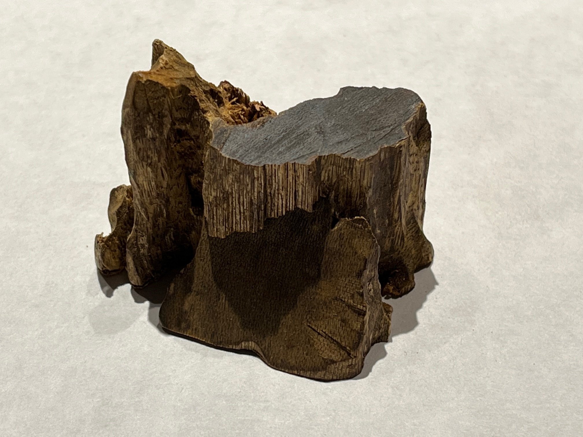 5月の推奨香木は、堂々たる緑油伽羅♪｜山田眞裕（麻布 香雅堂 主人）