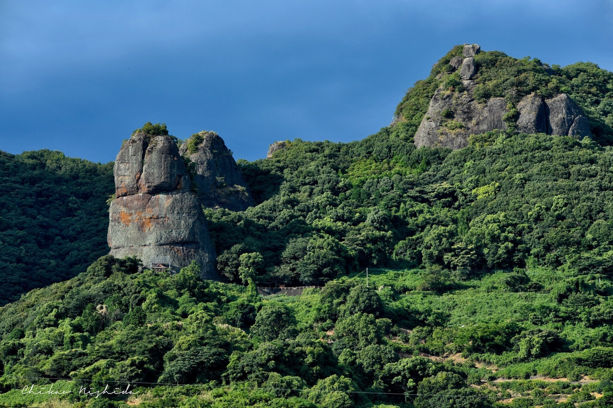 奇岩 カワサキ「Ninja ZX-25R SE」「Ninja ZX-25R SE KRT EDITION」【1分で