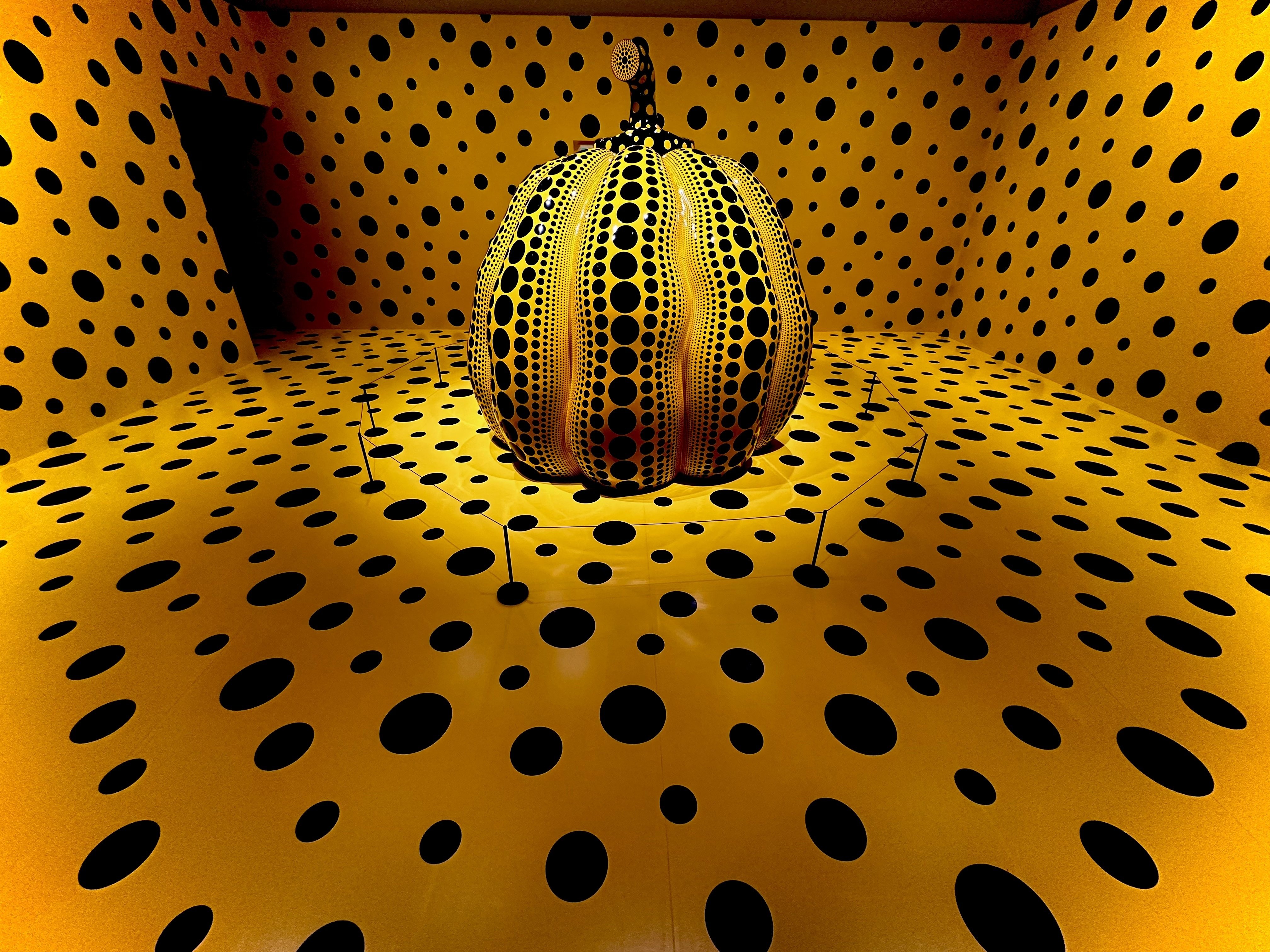 草間彌生作品見る。松本市美術館。｜morning