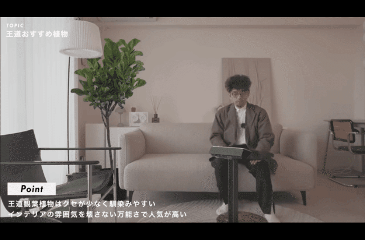 テイスト別おすすめ観葉植物】おしゃれな部屋になるインテリア