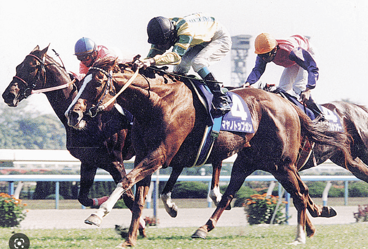 マヤノトップガン 天皇賞(春)優勝記念品 sddefault.jpg マヤノトップガン 天皇賞(春)優勝記念品 sddefault.jpg