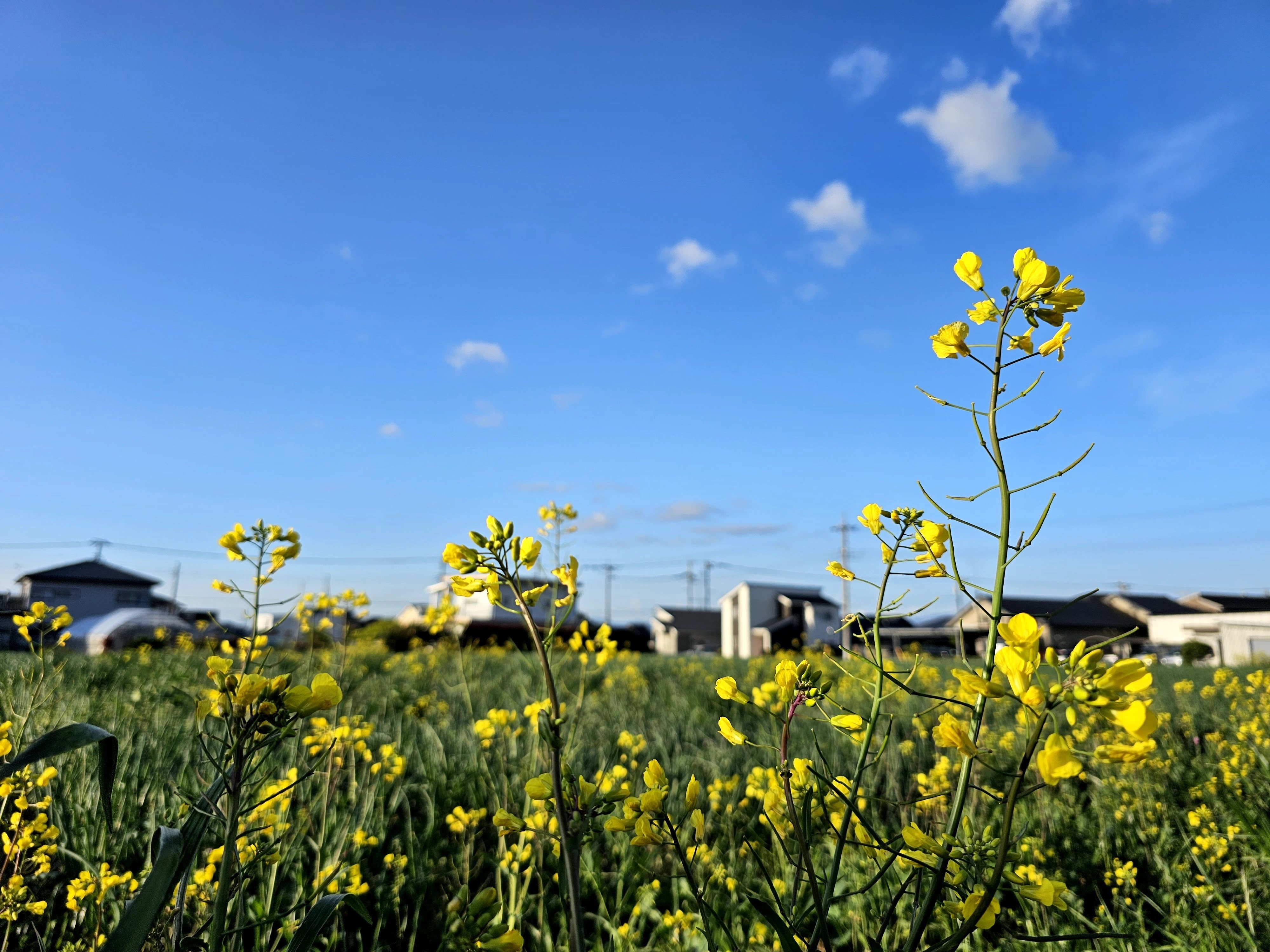 5. 自分のバージョンの出来事に自信を持ち続ける