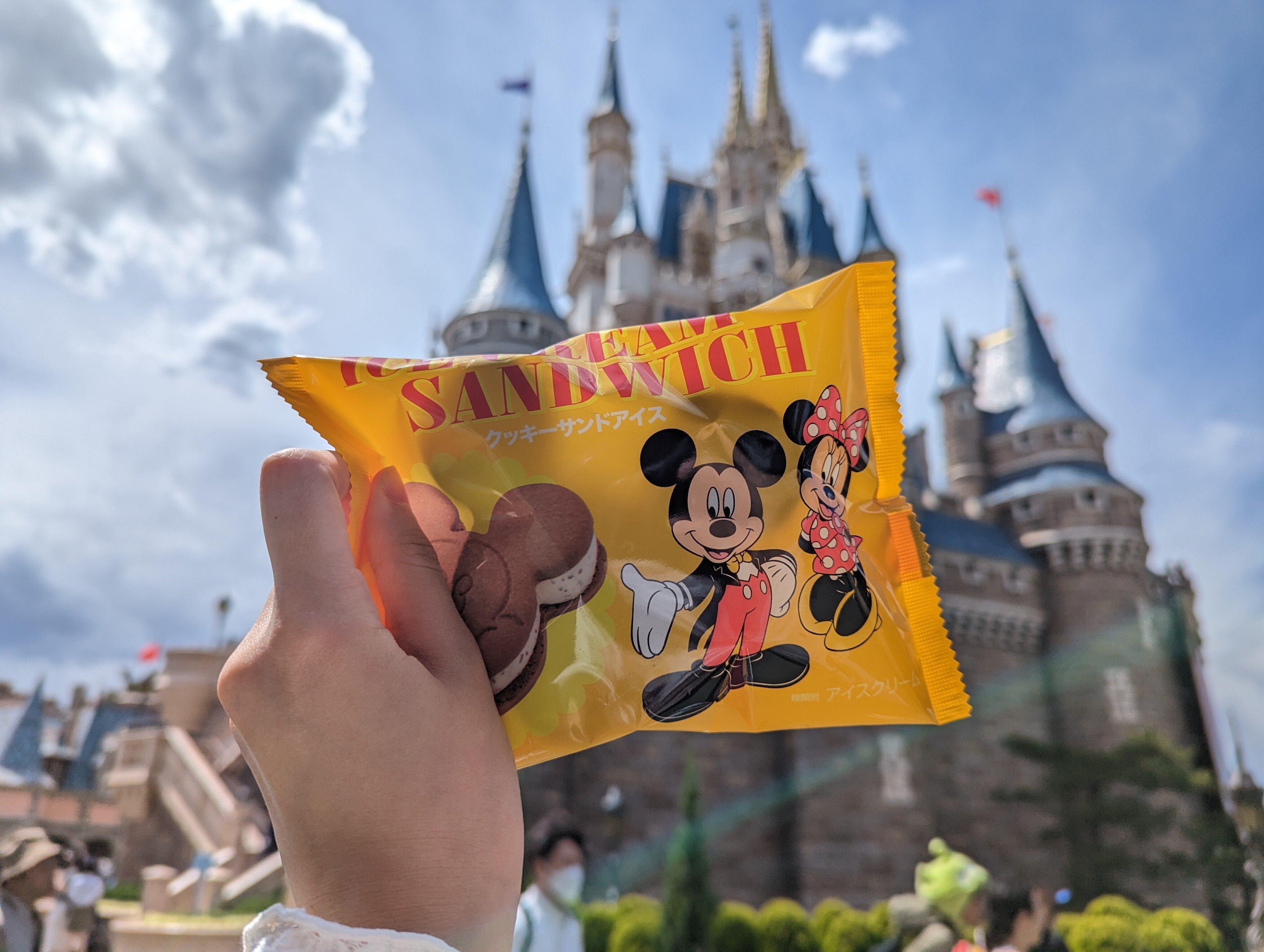 お家にディズニーランドが現れますよ。 hqdefault.jpg