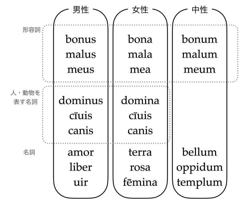 男性名詞・女性名詞という呼称について｜ご