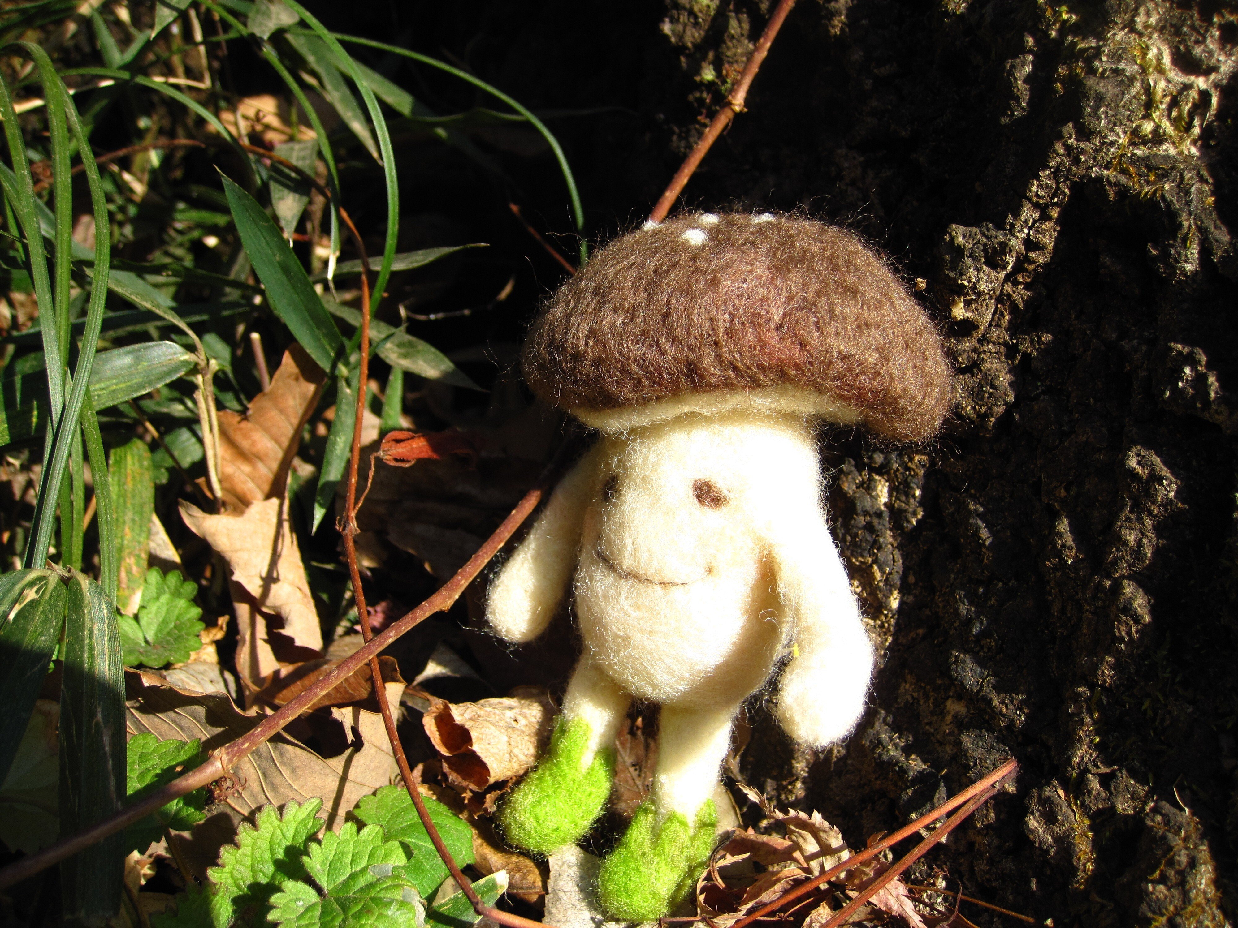 きのこの世界から飛び出して｜S o t t o