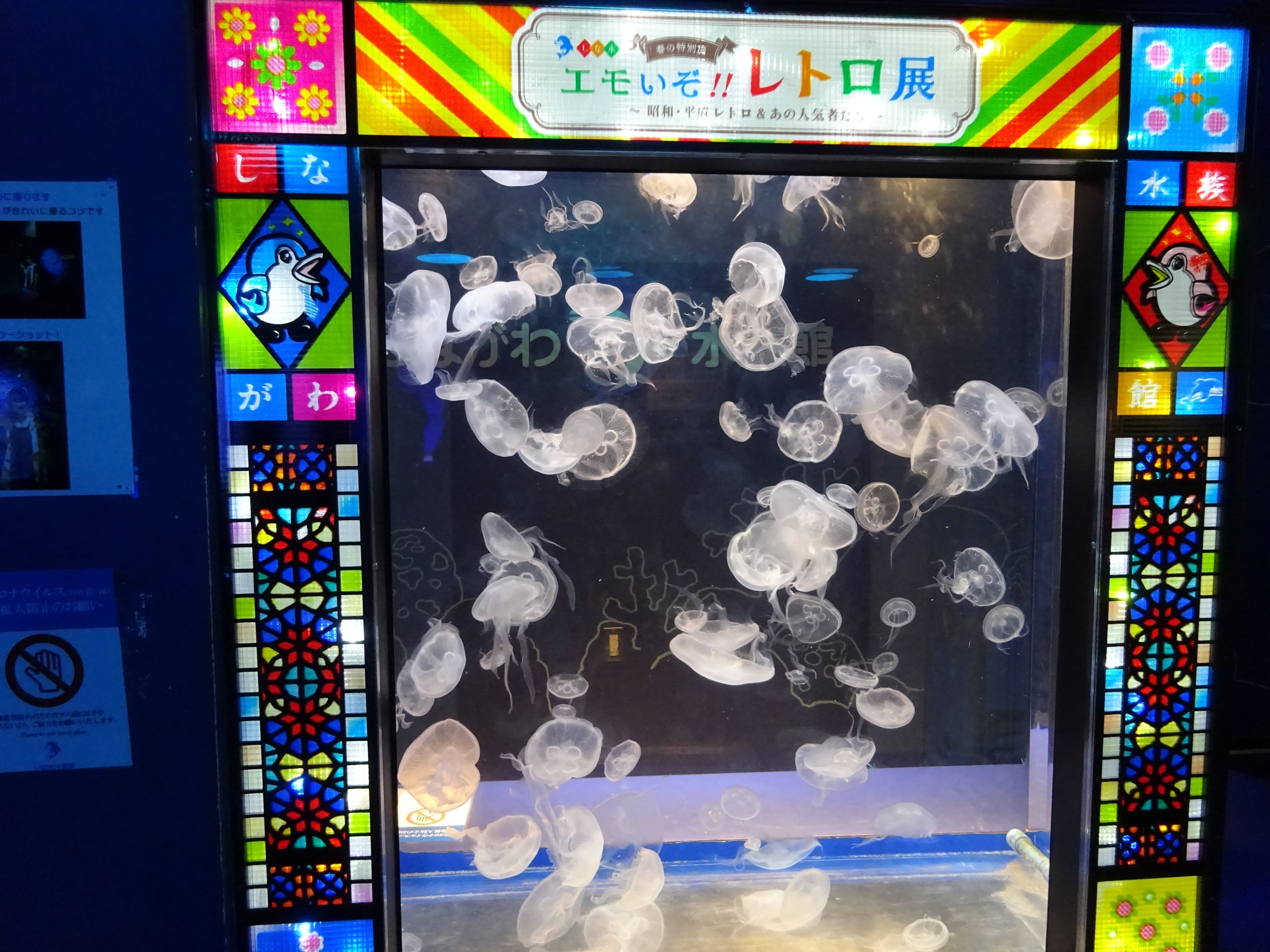 レトロ　昭和水槽 アルナ しながわ水族館『エモいぞ‼️レトロ展』がめちゃくちゃ楽しかった話
