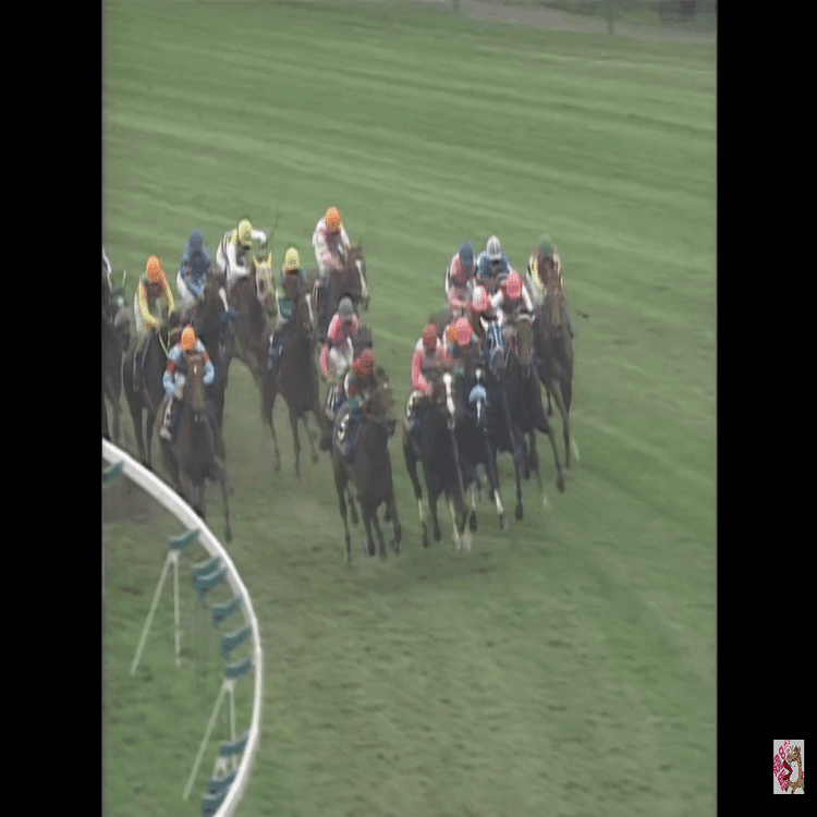 1999年の皐月賞を回顧してみる。｜鷹ノ