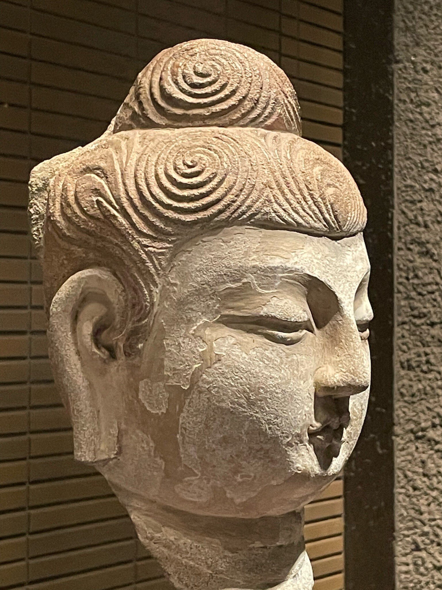 大陸の仏さまたち｜森山 智子