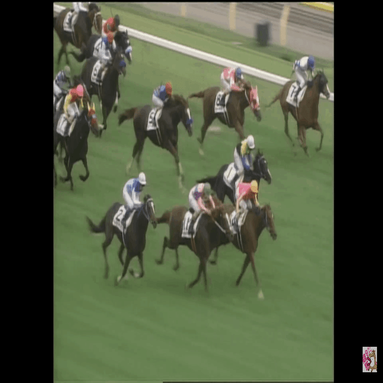 1999年のダービーを回顧してみる。｜鷹ノ