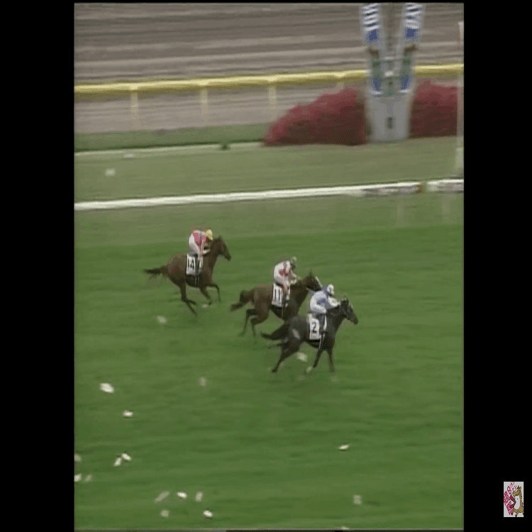 現地単勝　1999年日本ダービー アドマイヤベガ 100円 現地単勝 1999年日本ダービー アドマイヤベガ 100円 現地的中 単勝馬券