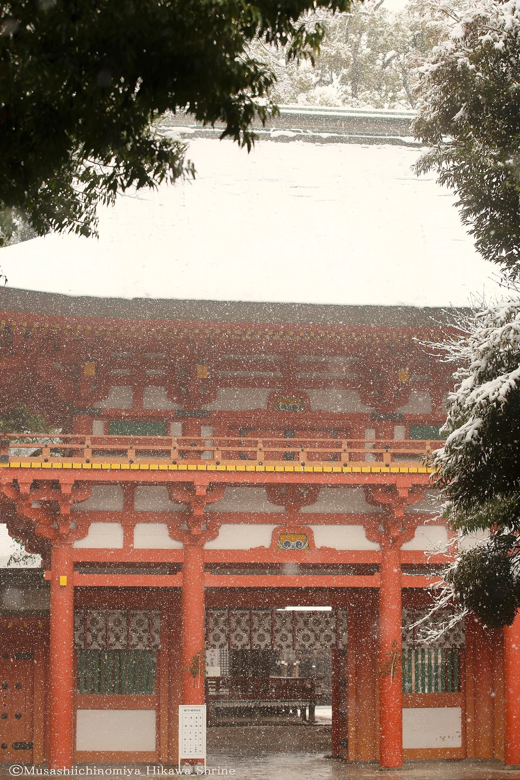第151回 ～「スサノオノミコトと大阪万博」｜武蔵一宮 氷川神社