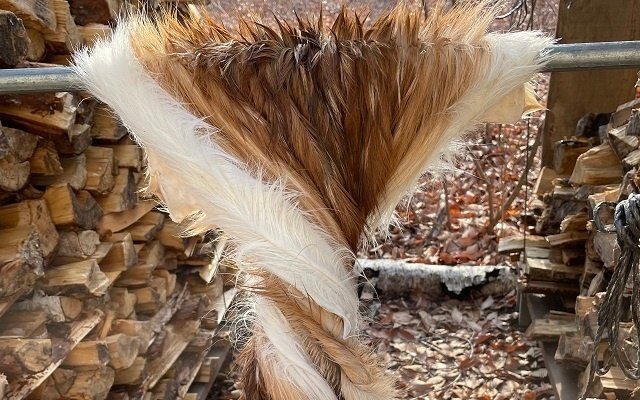 ハンドメイド記録】ミョウバン液につけて毛皮なめしNo.17：シカ