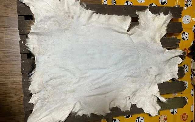 ハンドメイド記録】ミョウバン液につけて毛皮なめしNo.17：シカ夏毛