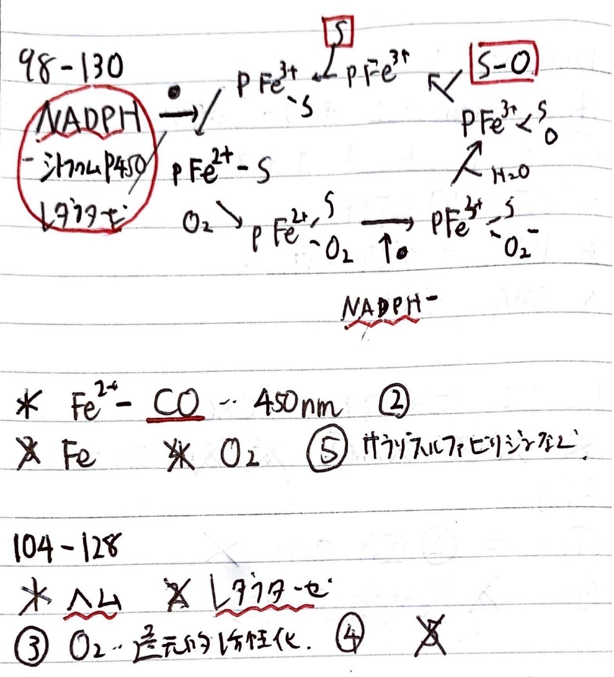 薬剤師国家試験 第100回薬剤師国家試験 問194 - yakugaku lab