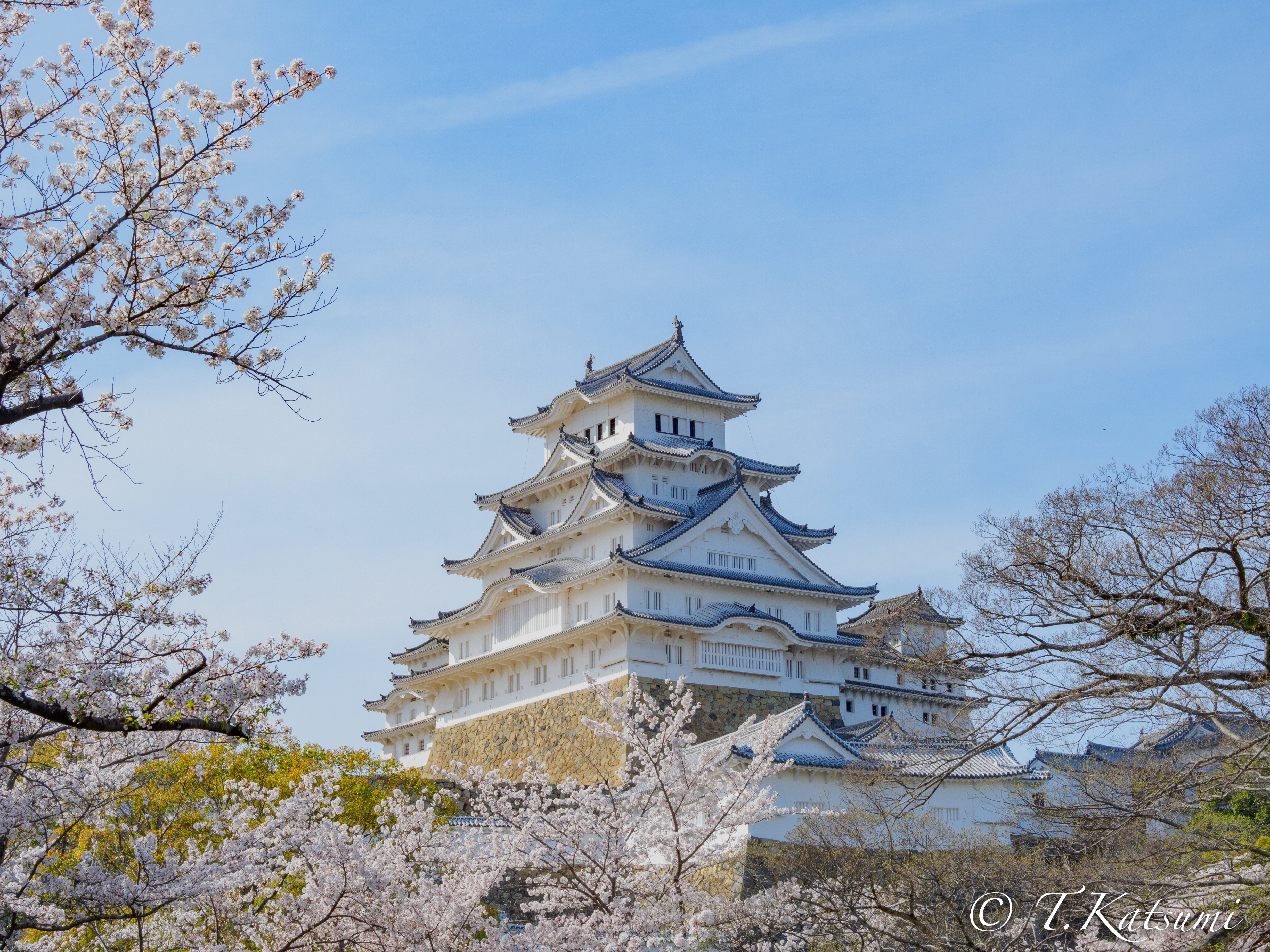 過去のお花見①｜KATSUMI