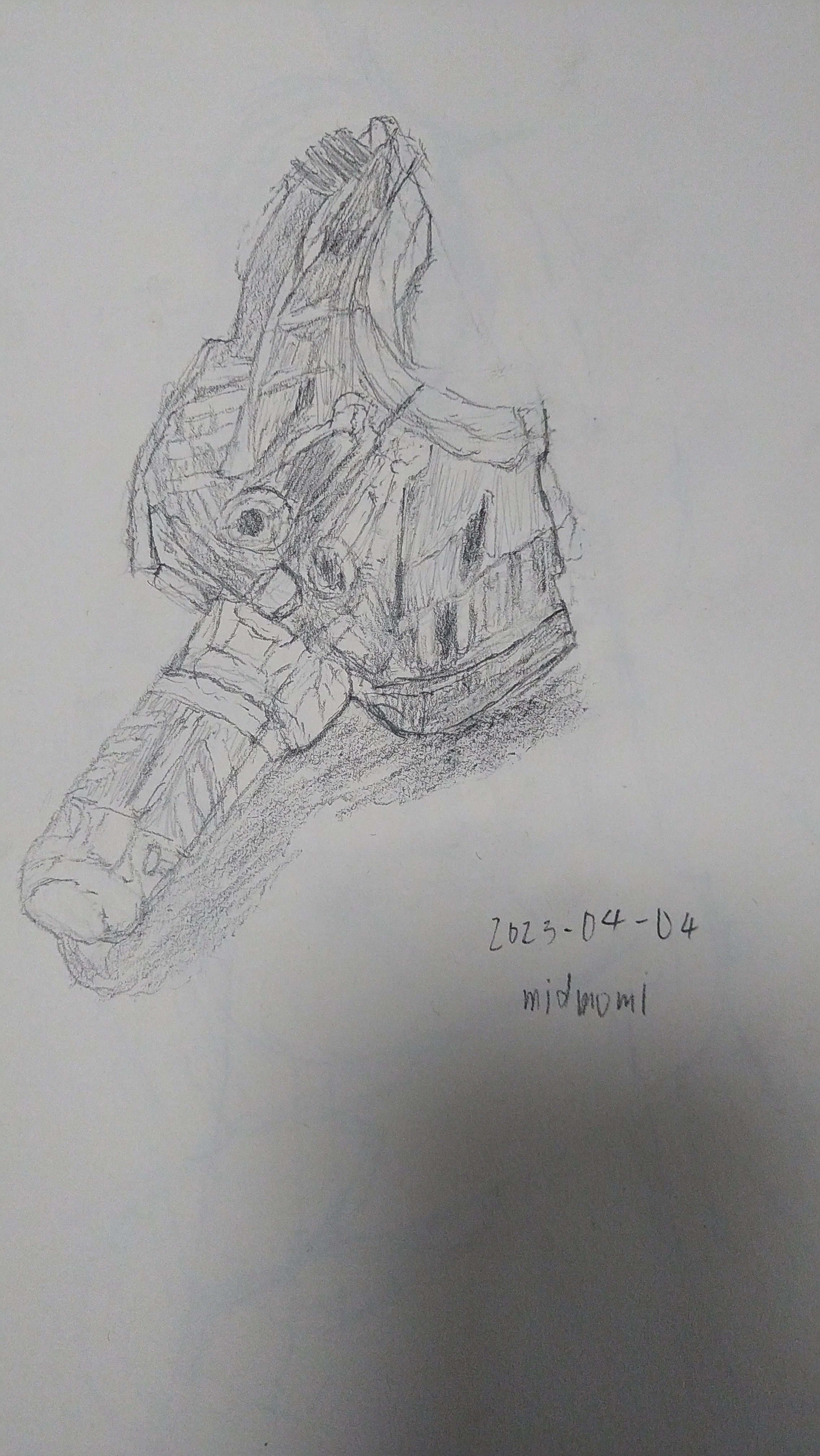 絵描き初心者が継続してイラストを4か月描いてみた結果｜ミドもみ