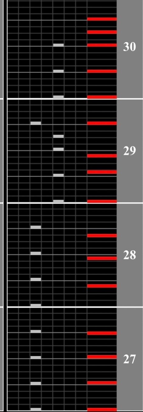 WS 対峙する黒白 ぶつかり合う思い sp セット 備忘録的七段合格記