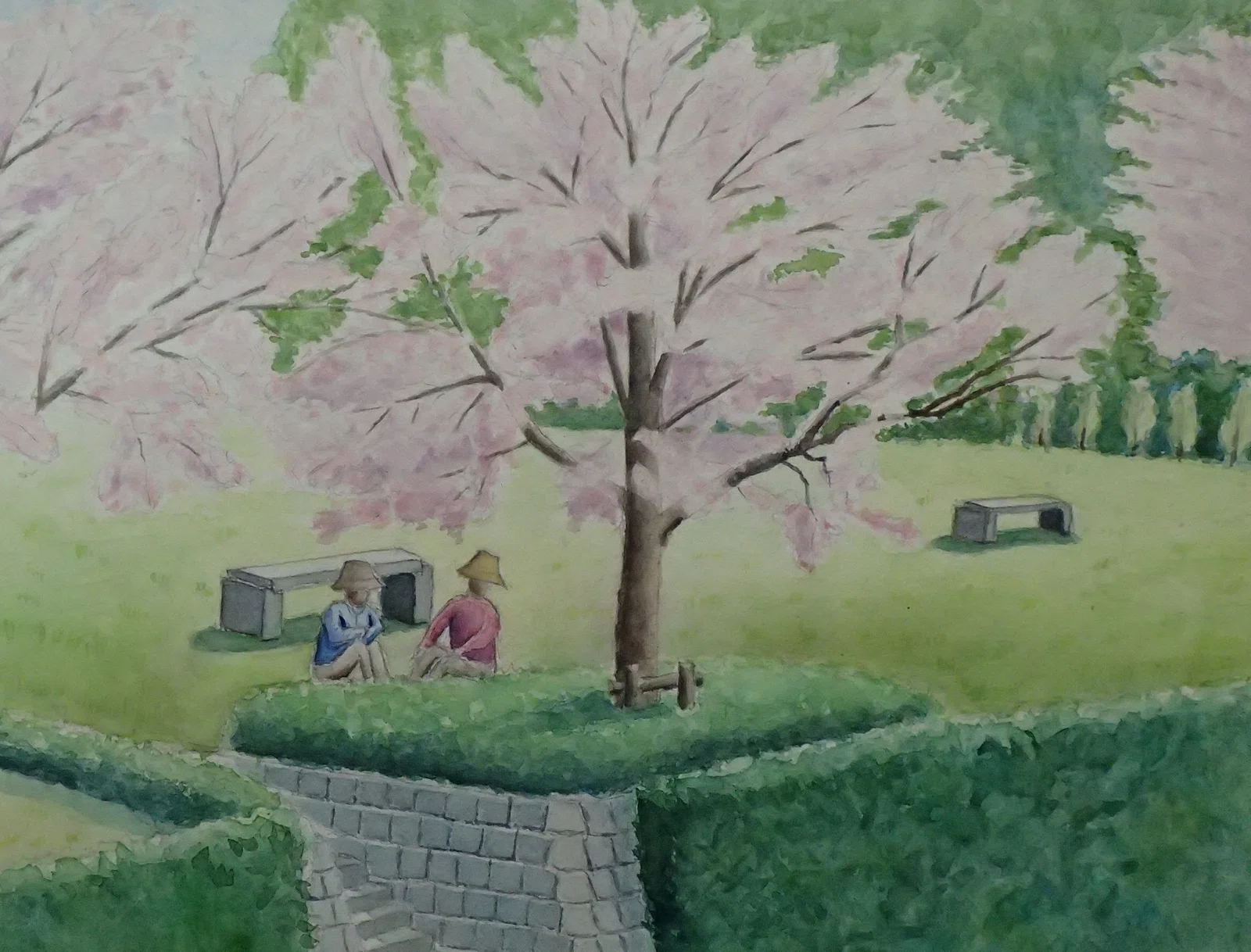 透明水彩画 桜｜Hideon