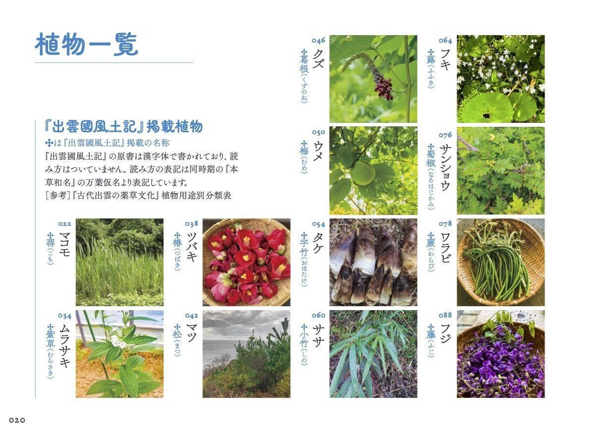 出雲の薬草と暮らす』 須田ひとみ著 のご案内｜Hitomi Suda