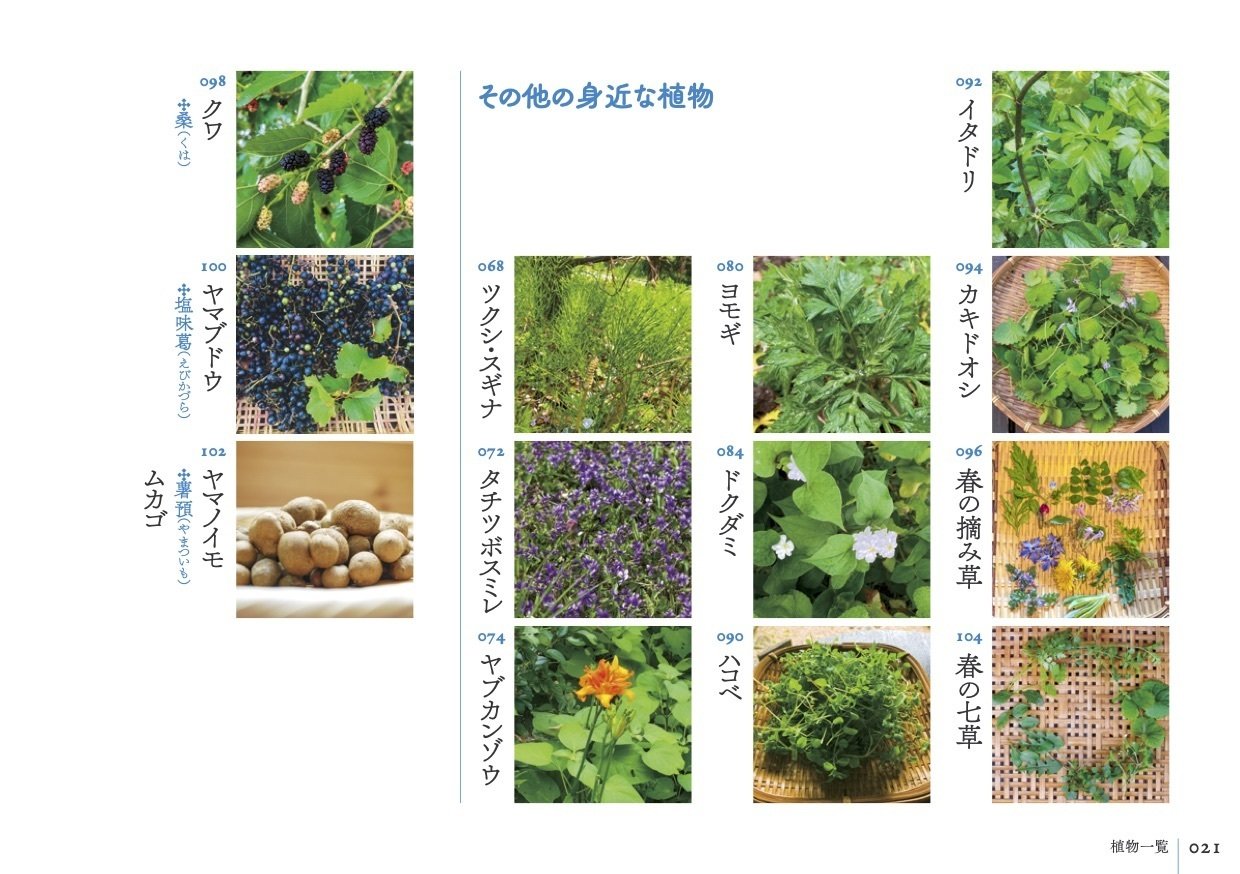 古代出雲の薬草文化: 見直される出雲薬と和方 | 昭和漢方生薬