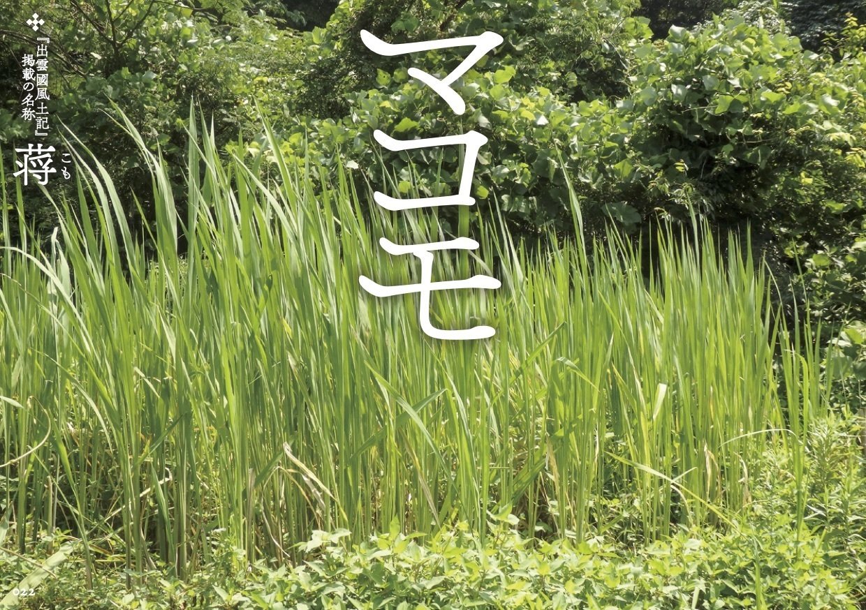 出雲の薬草と暮らす』 須田ひとみ著 のご案内｜Hitomi Suda