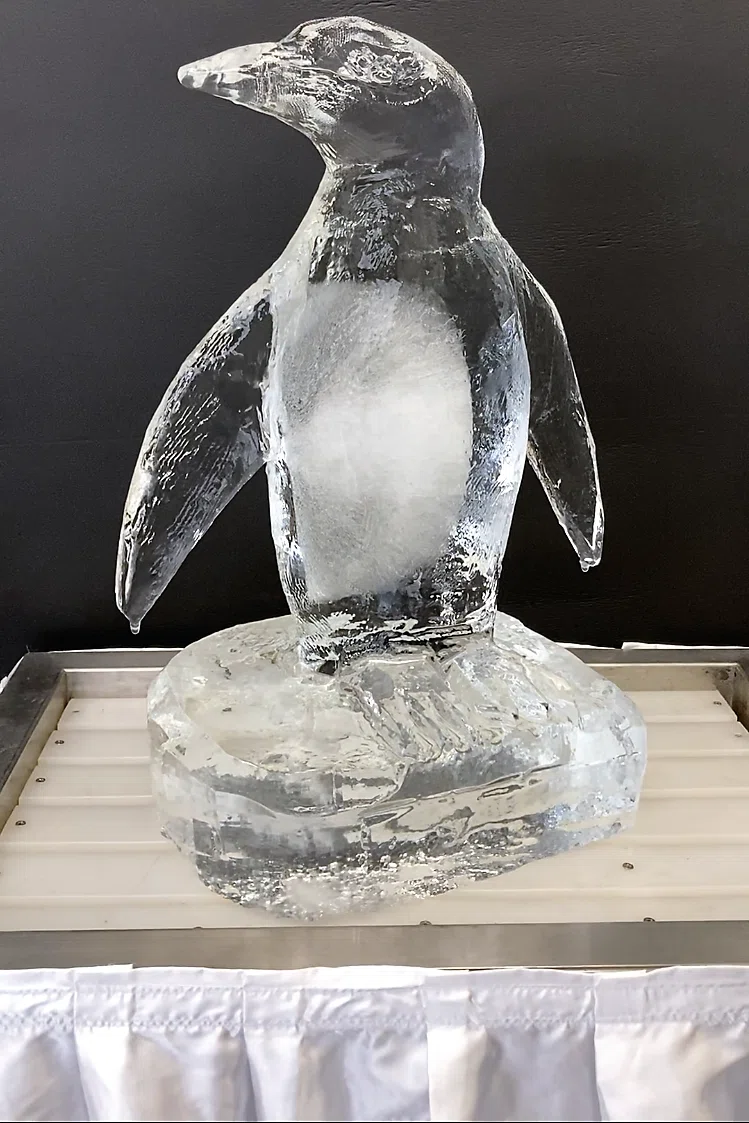 氷ペンギン 製作事例】氷と言えばペンギン？【世界ペンギンの日】｜小野田の超純氷