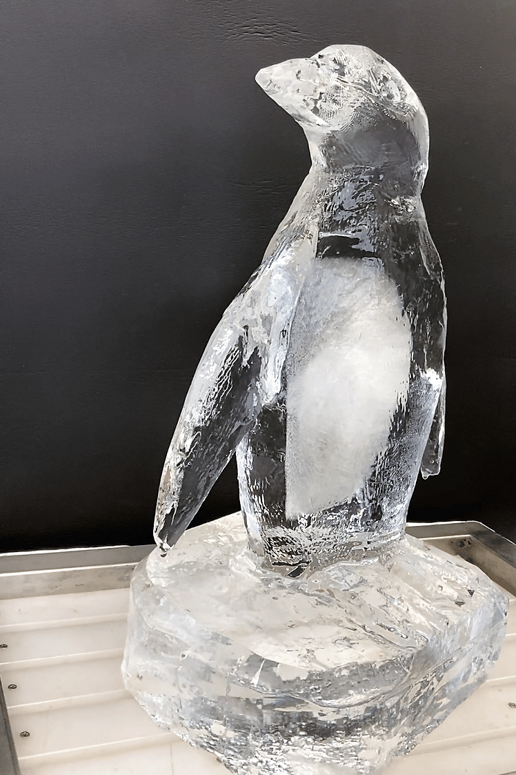 製作事例】氷と言えばペンギン？【世界ペンギンの日】｜小野田の超純氷