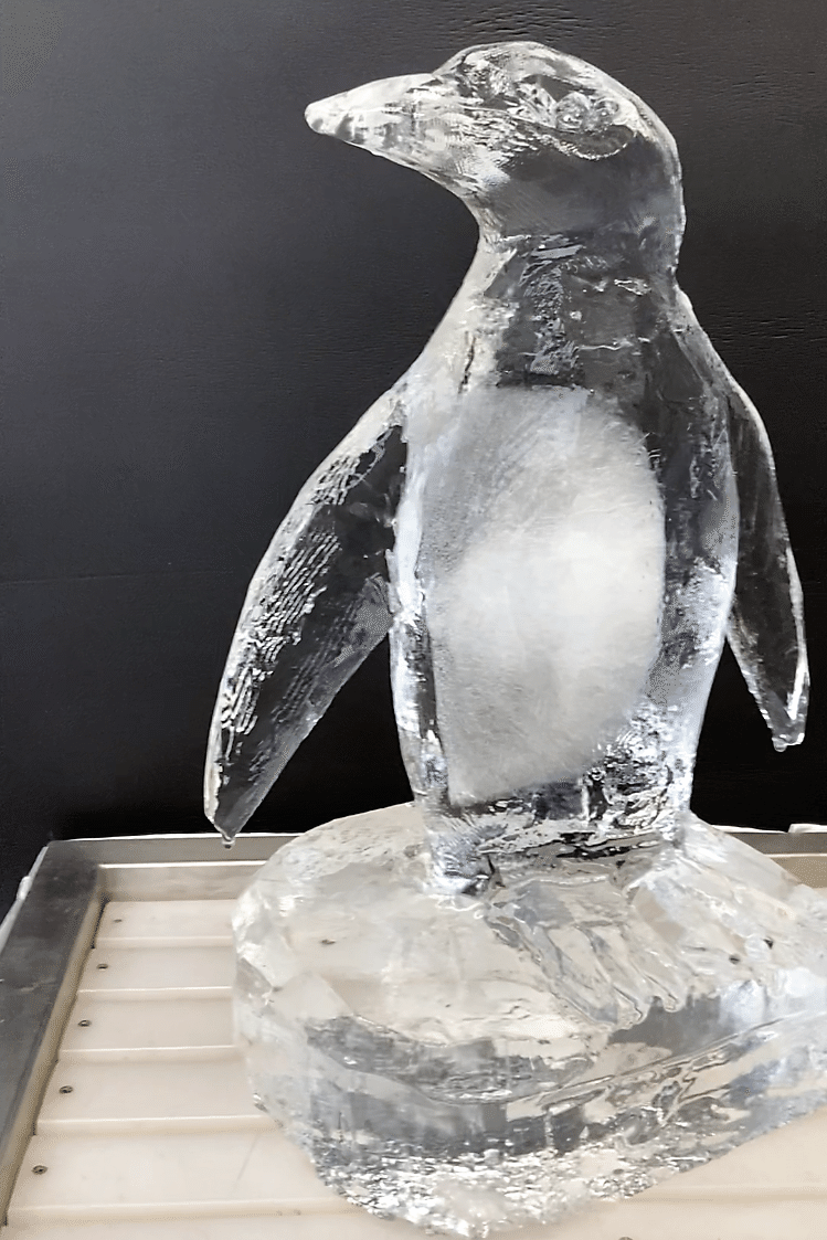 製作事例】氷と言えばペンギン？【世界ペンギンの日】｜小野田の超純氷