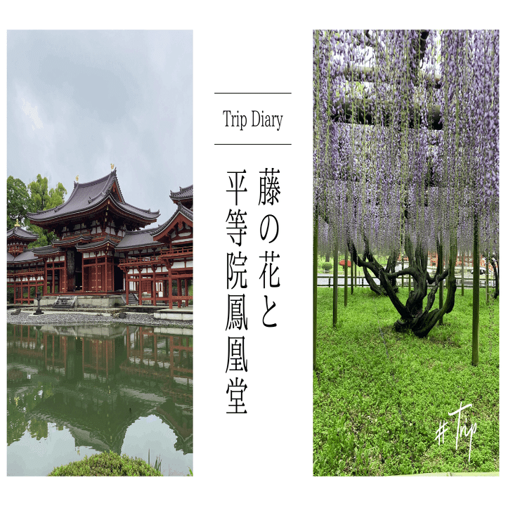 焼失を免れた平等院鳳凰堂の中は千年前の空間でした｜フィックスホーム