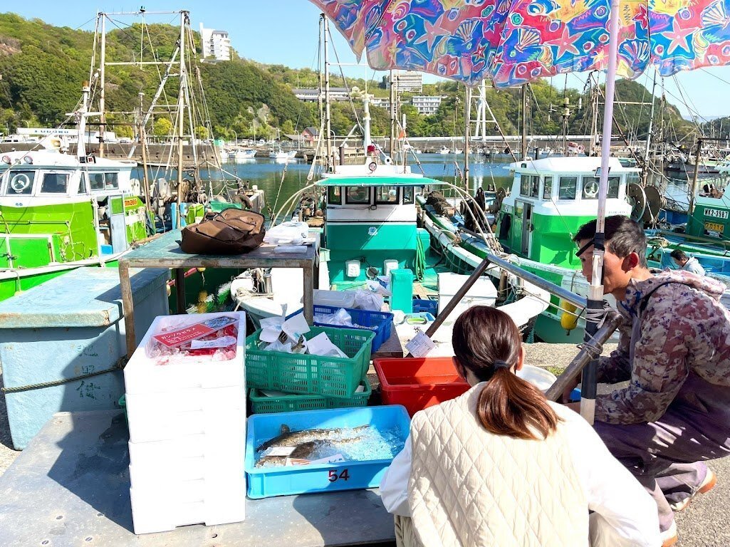 日本のアマルフィ」から海の暮らし・文化を未来につなぐ—漁師 日本のアマルフィ」から海の暮らし・文化を未来につなぐ—漁師
