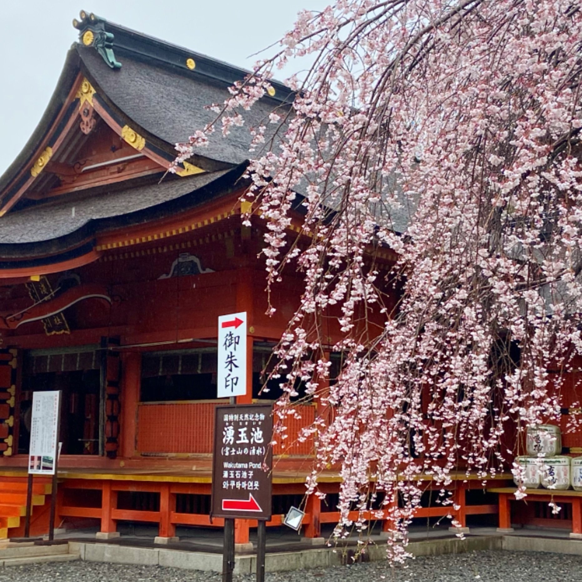 レイラインツアー2023】〜祈りの御来光道｜山川宗一郎(蕎麦宗)