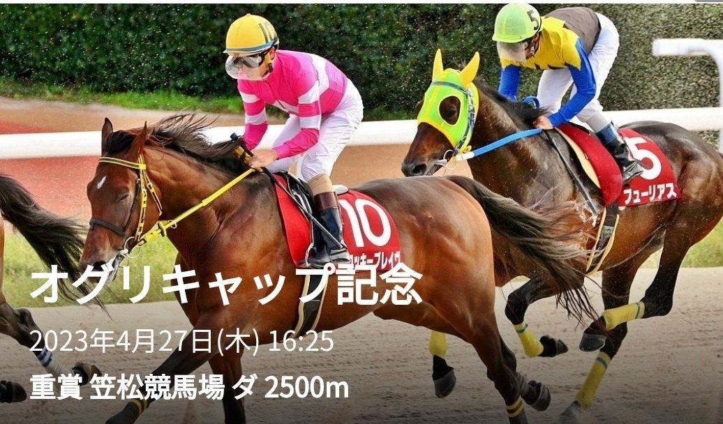 オグリキャップ記念【重賞】4月27日笠松競馬場🏇トントン的中