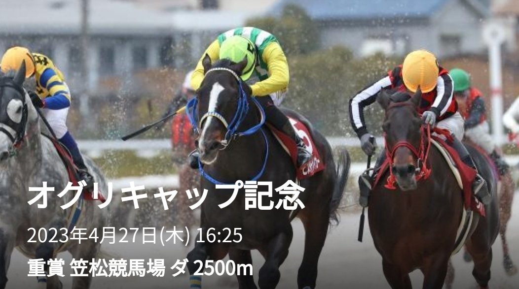 オグリキャップ記念【重賞】4月27日笠松競馬場🏇トントン的中