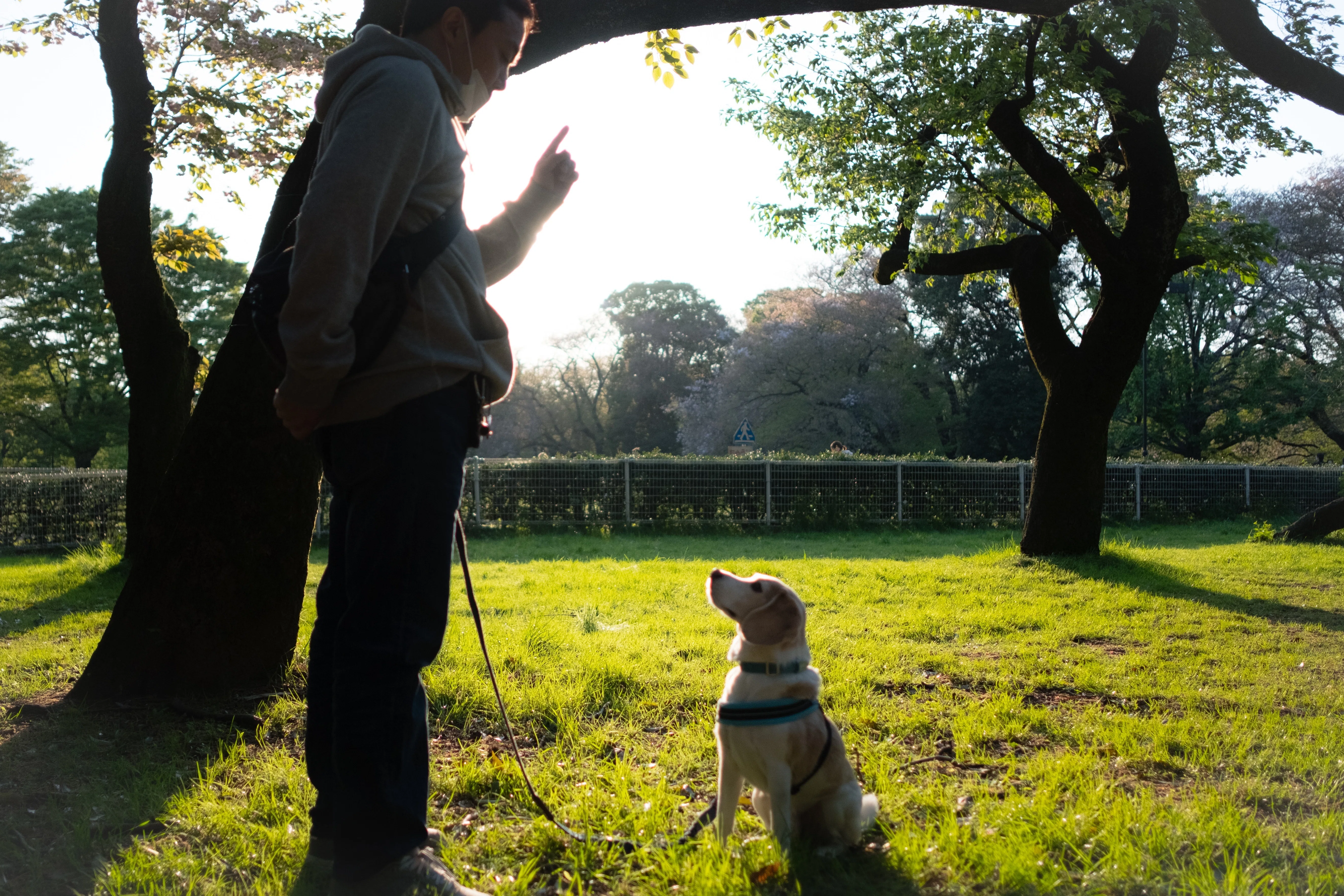 太陽と犬。または神のアナグラム。｜古賀史健