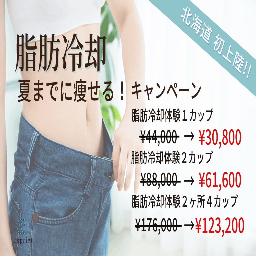 4カップ最新版脂肪冷却