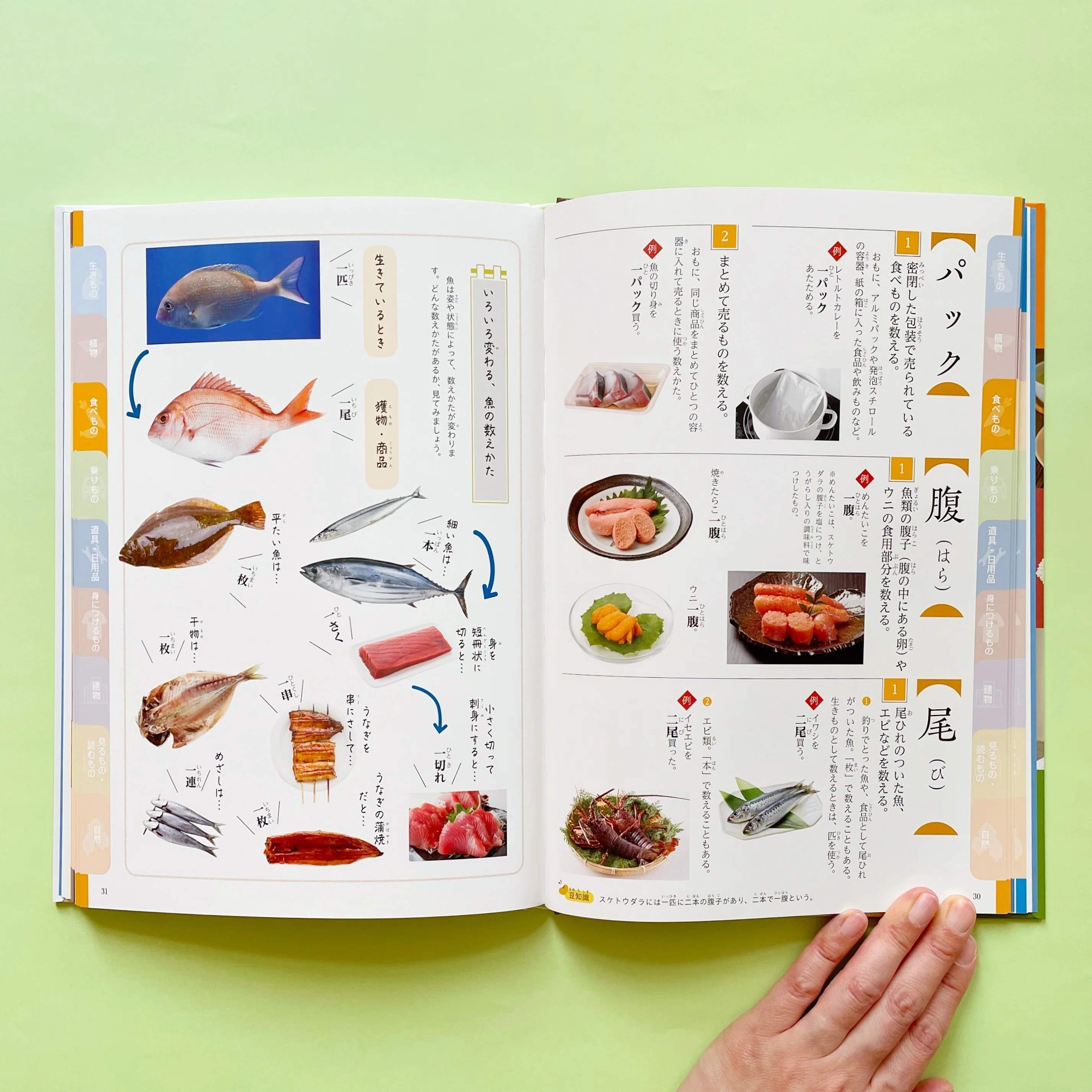 日本料理　魚器図館　捌き方、魚器種類 　　志の島忠　グラフ社刊 Amazon.co.jp: 形別魚のおろし方 : 柴田書店: 本