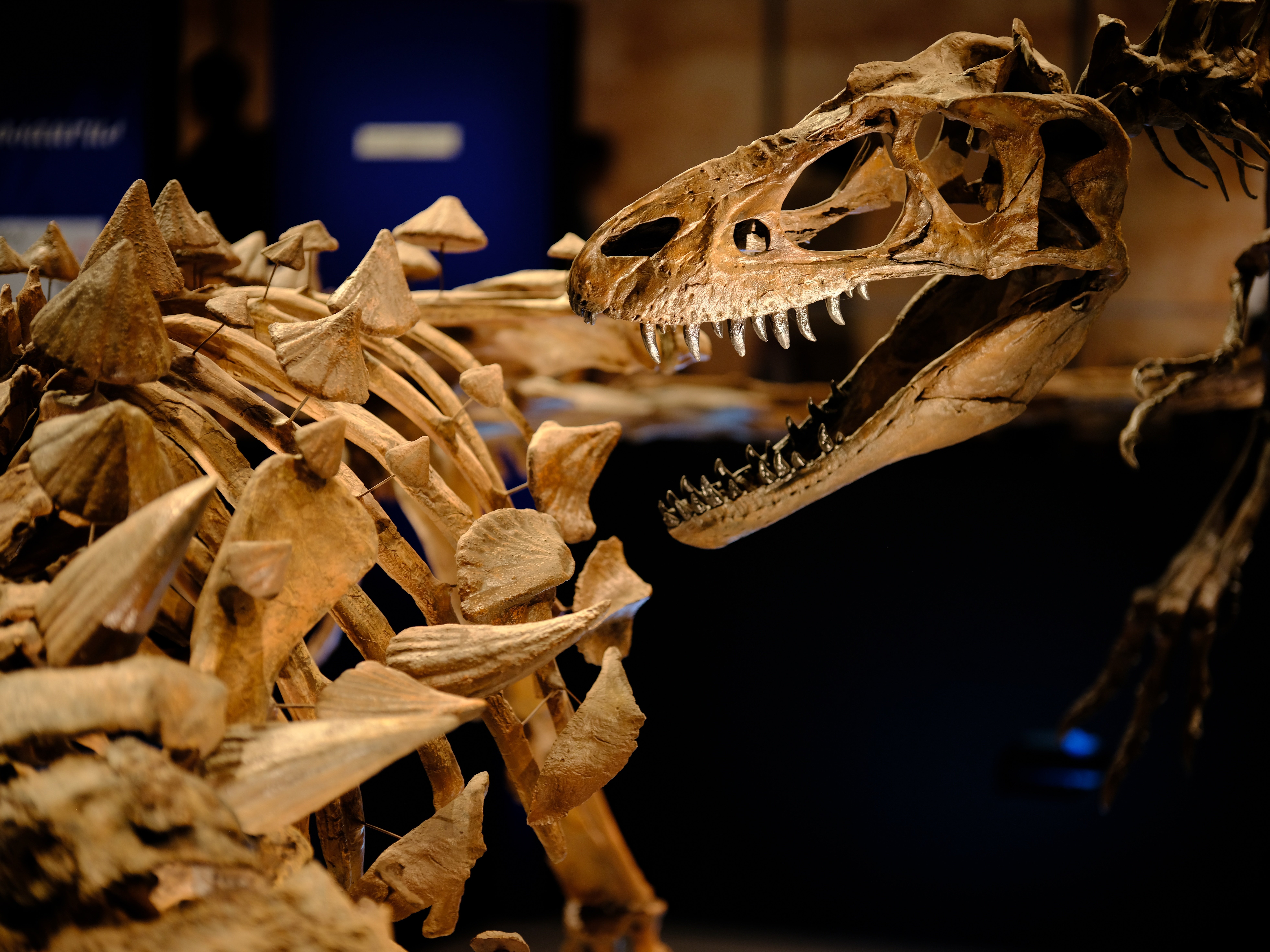 作例集】GFXと105mm F1.4 Artで撮る恐竜展2023｜プラナリア