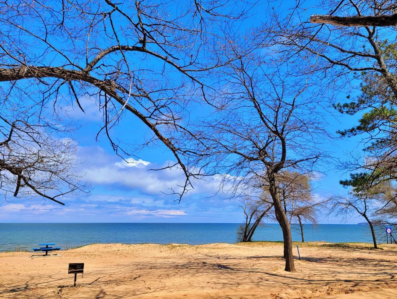 QPさんとヒューロン湖までドライブ|yahoi /ライフエディター・エッセイスト