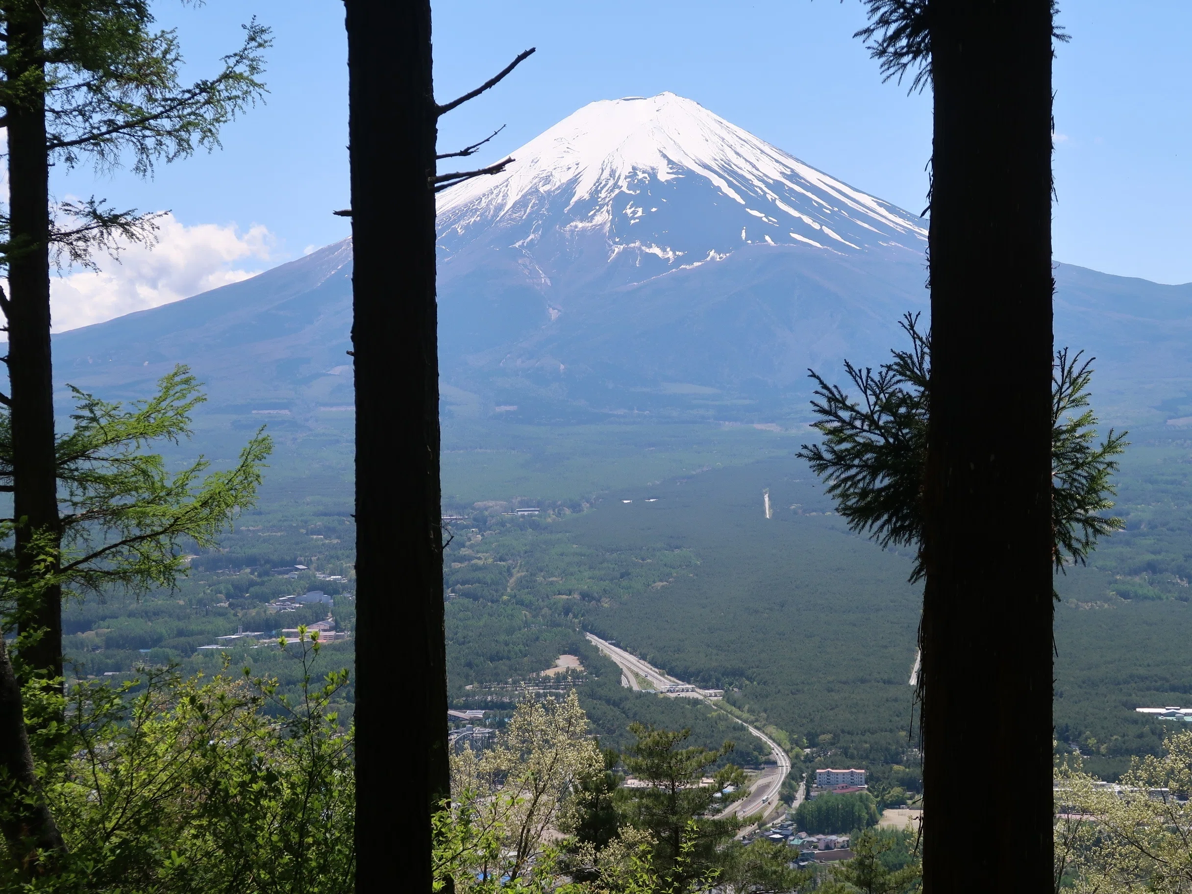 かちかち山　 Stream かちかち山 music | Listen to songs, albums, playlists for