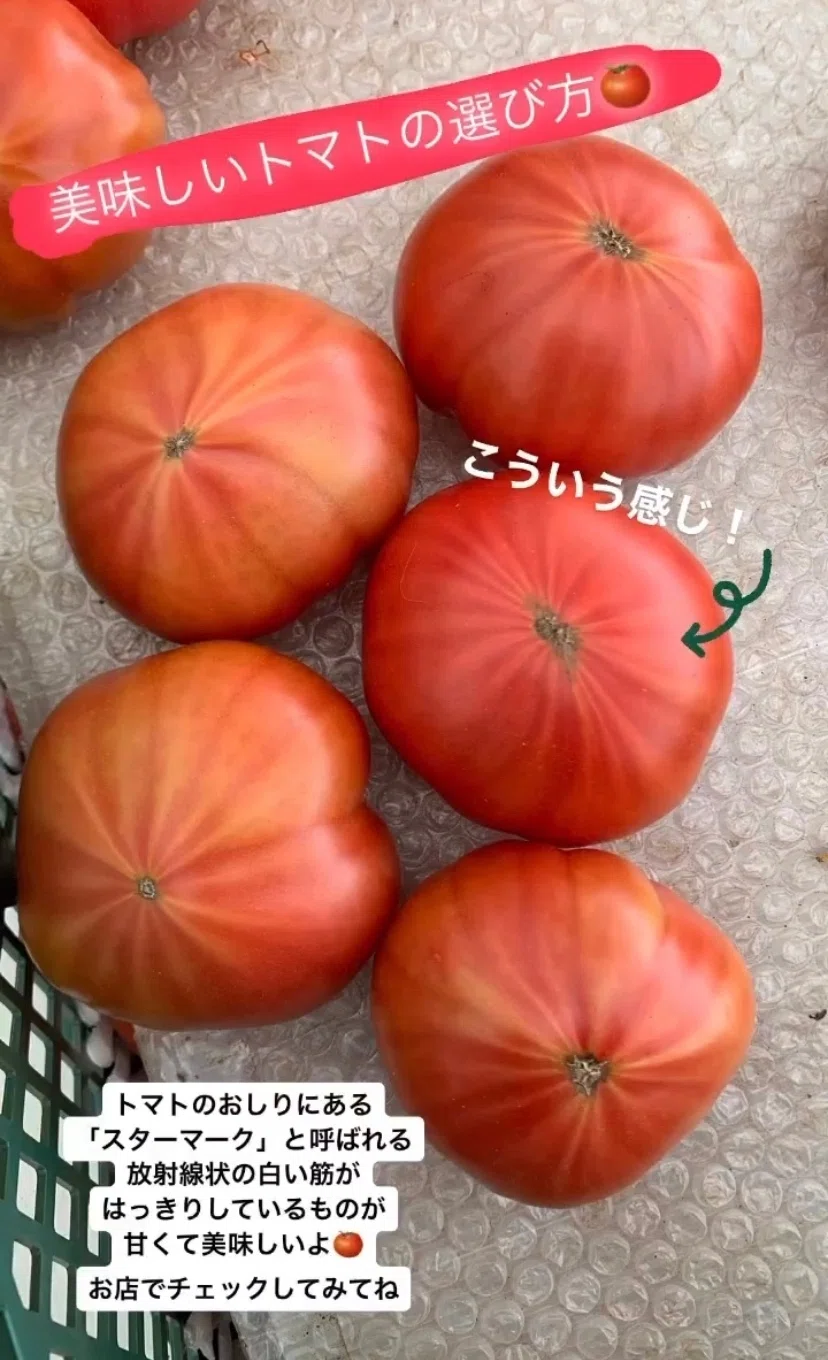 美味しい トマト 見分け 方