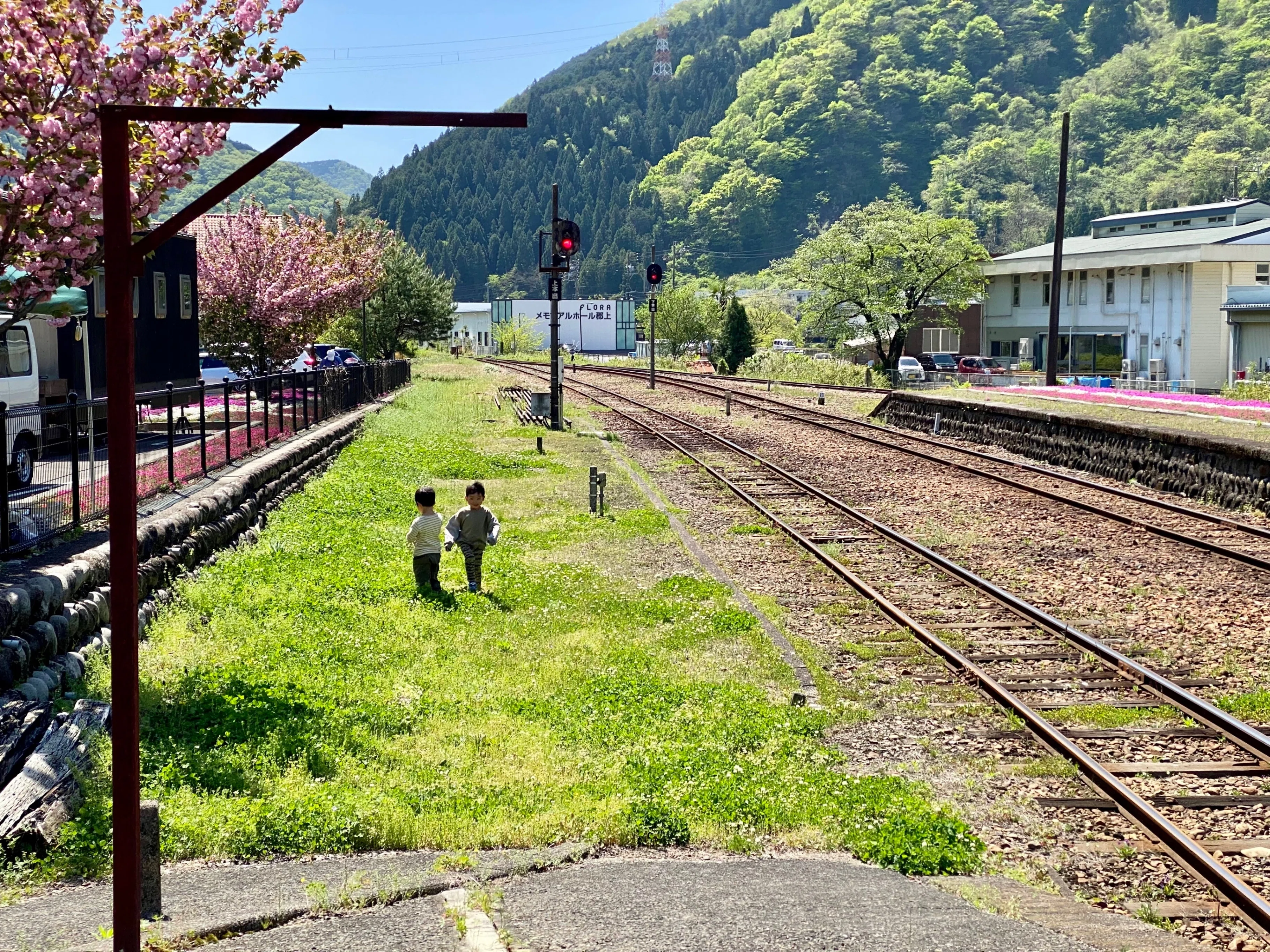 圧倒的な新緑を見に行く〜岐阜県郡上市八幡町。｜風街観光社（Shozo