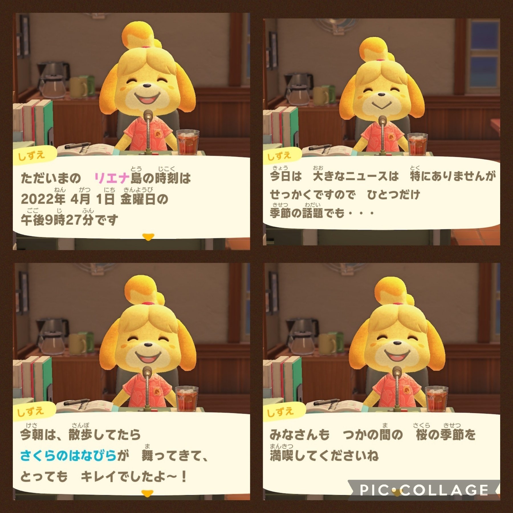 送関込み カズキングさん用 kinoteka.me