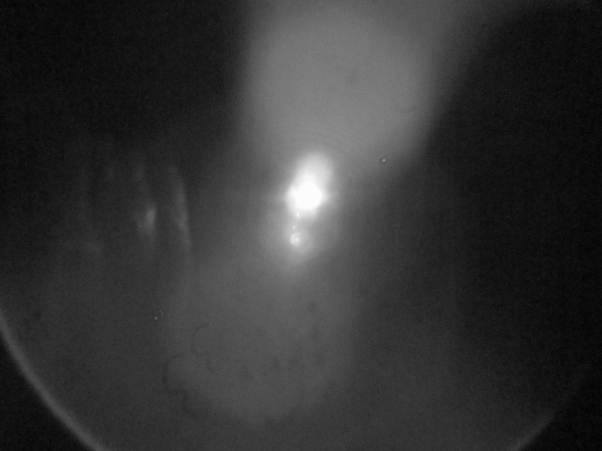 大会　赤外線 見えない光を撮る 赤外線写真 カラー編｜windcall