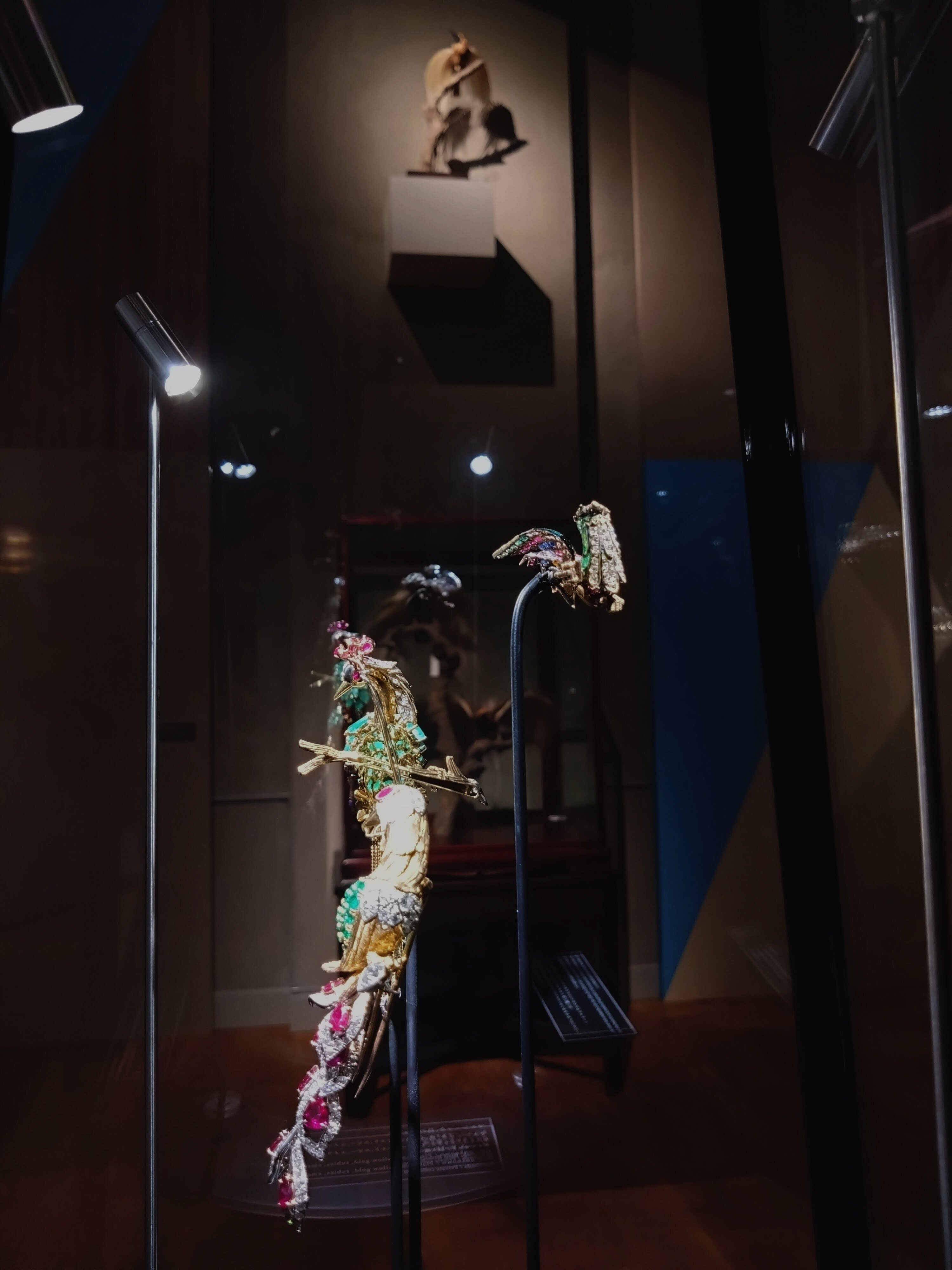 極楽鳥」展は、鳥とジュエリーの美しさを心ゆくまで堪能できる｜江口絵理