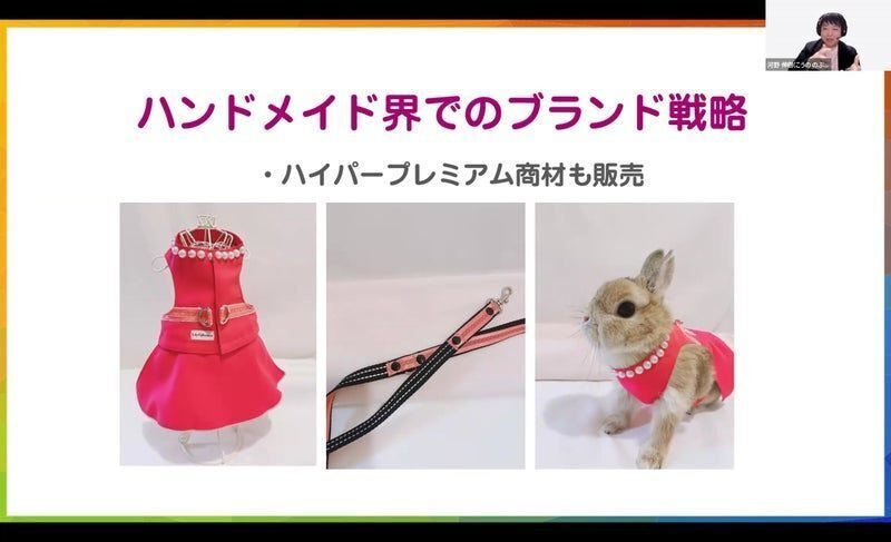 うさぎまとめ売り 28周年セール中】【無地梱包不可】広々＆簡単クリアフロントうさぎ飼育