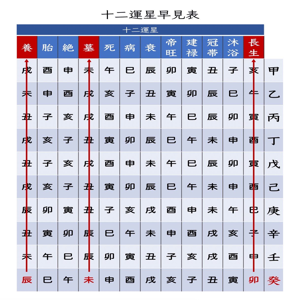 動物占いは四柱推命から生まれた！十二運星で自分の性格や運勢を知ろう